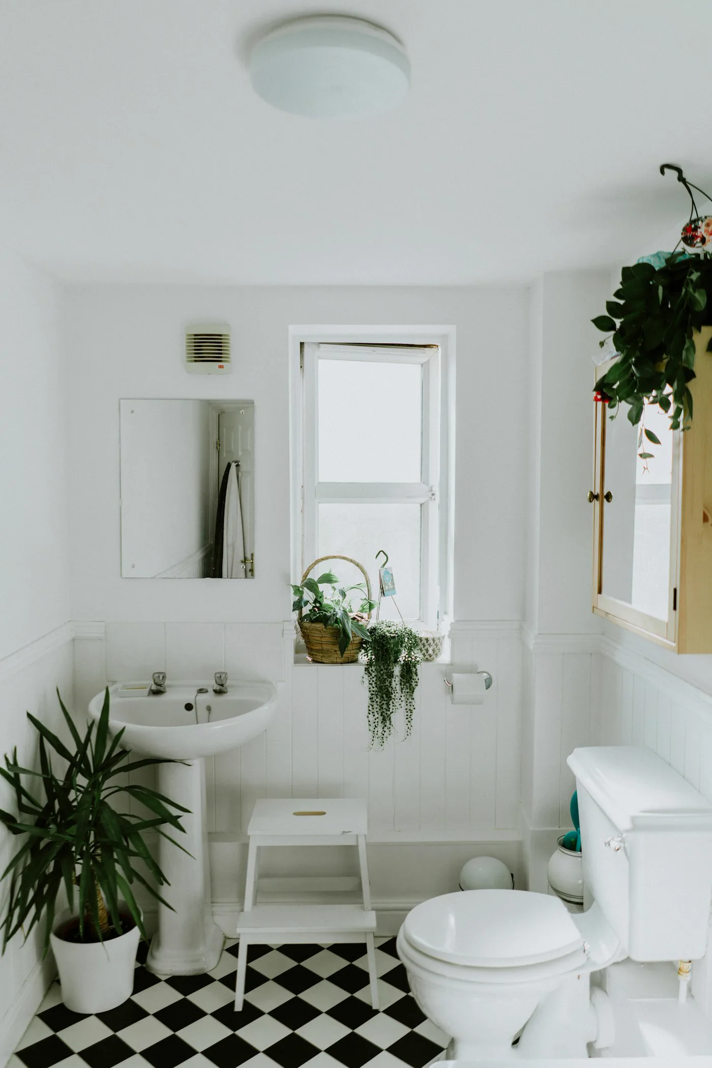 Baño organizado con productos a la vista
